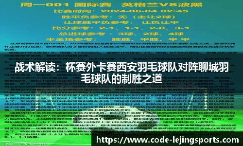 战术解读：杯赛外卡赛西安羽毛球队对阵聊城羽毛球队的制胜之道